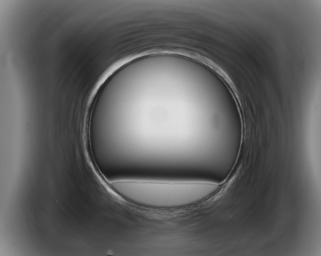 X0000085321533200703091104