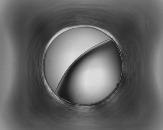 X0000085321534200703091104