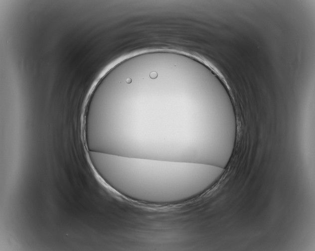 X0000085321535200703091104