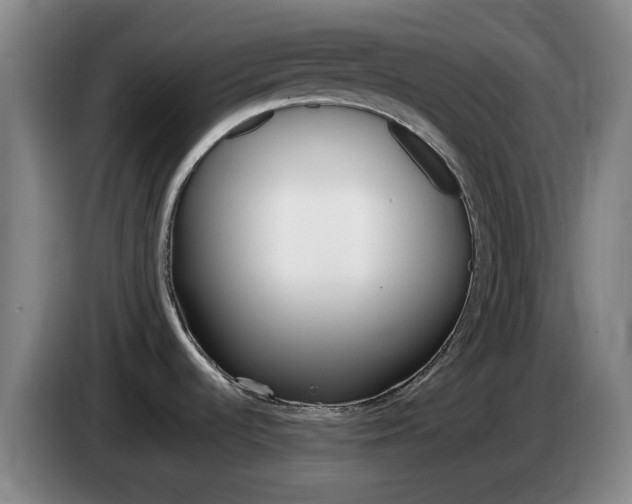 X0000085321536200703091104