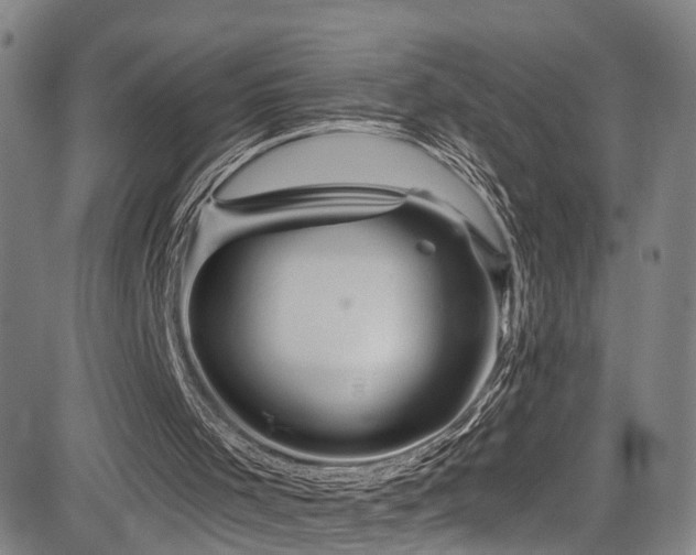 X0000085320001200703091523