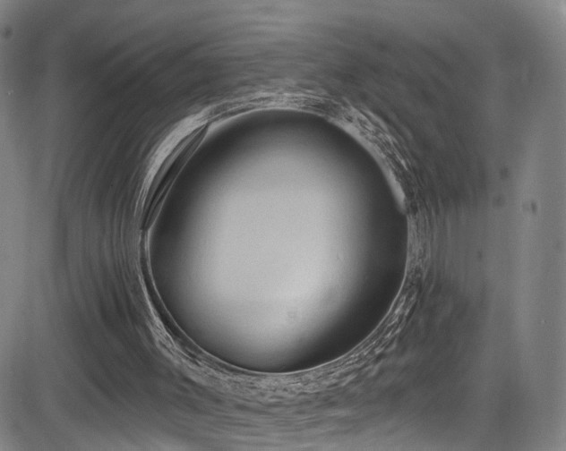 X0000085320003200703091523