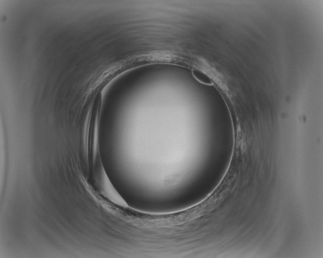 X0000085320013200703091523