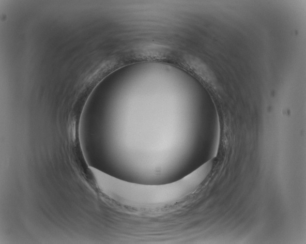 X0000085320021200703091523