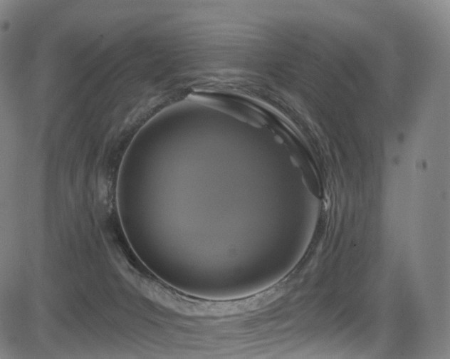 X0000085320031200703091523