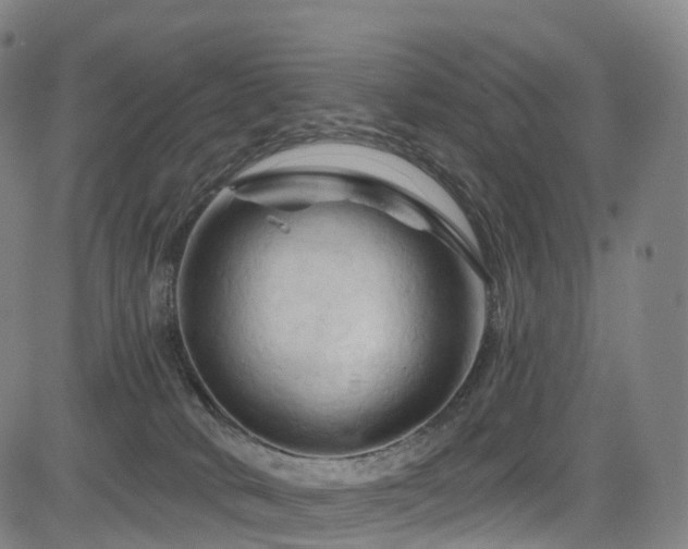X0000085320034200703091523