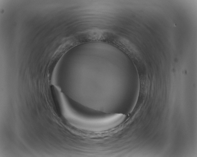 X0000085320035200703091523