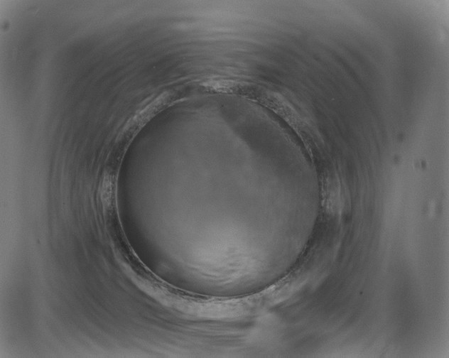 X0000085320036200703091523