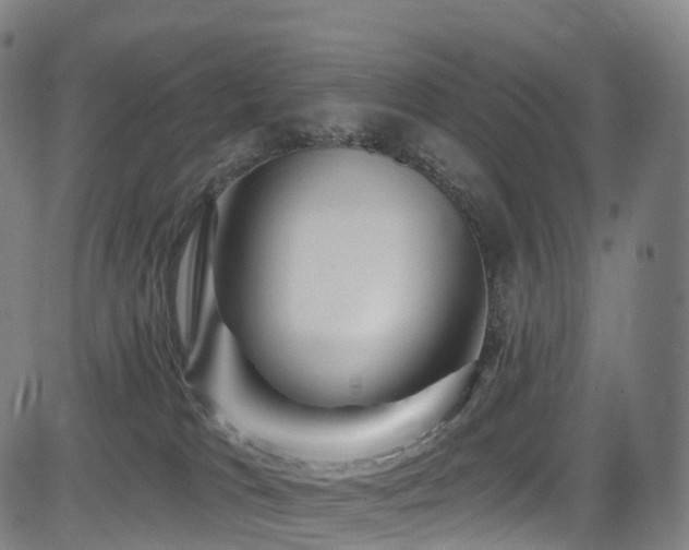 X0000085320037200703091523