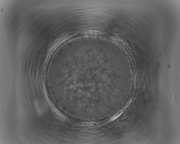 X0000085320049200703091522