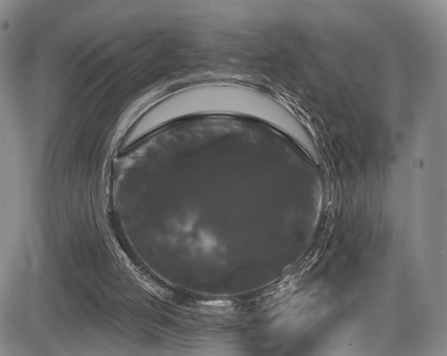 X0000085320053200703091522
