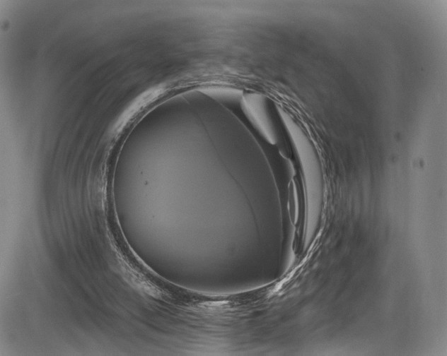 X0000085320054200703091522