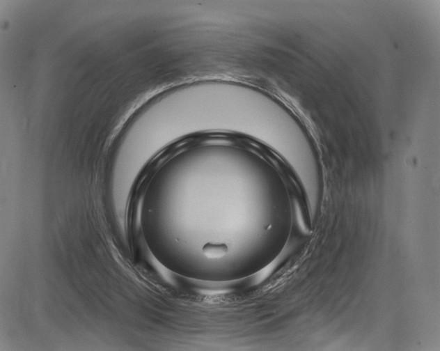 X0000085320060200703091522