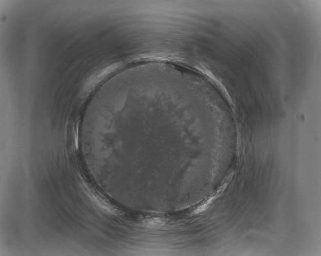 X0000085320062200703091522