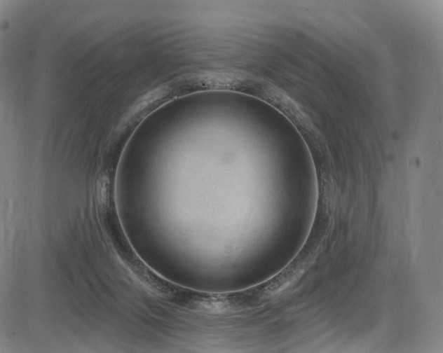 X0000085320071200703091522