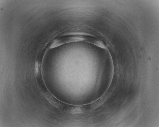 X0000085320075200703091522