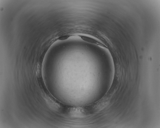 X0000085320077200703091522