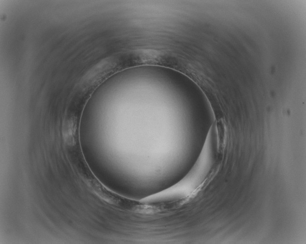 X0000085320082200703091522