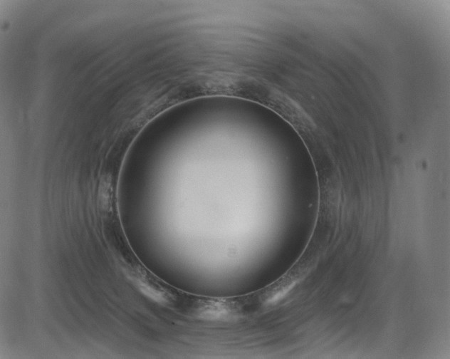 X0000085320083200703091522