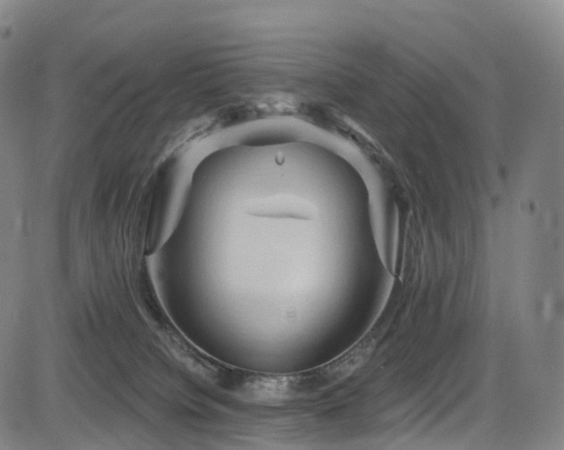 X0000085320084200703091522