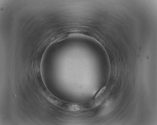 X0000085320091200703091522