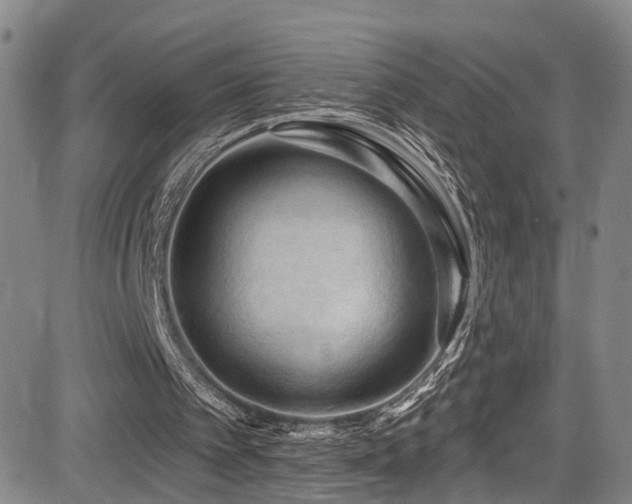 X0000085320097200703091522