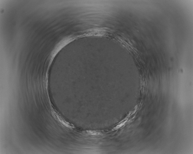 X0000085320100200703091521