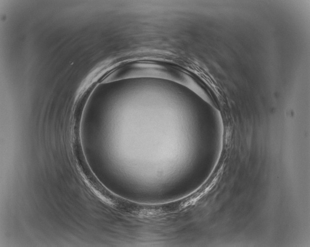 X0000085320101200703091521