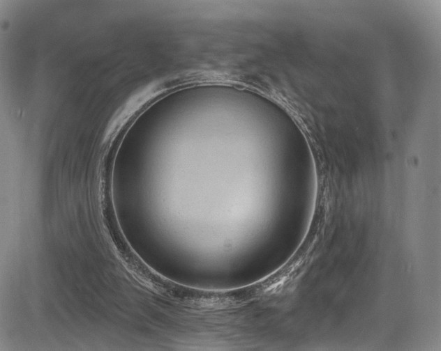 X0000085320103200703091521