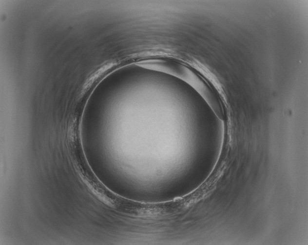 X0000085320105200703091521
