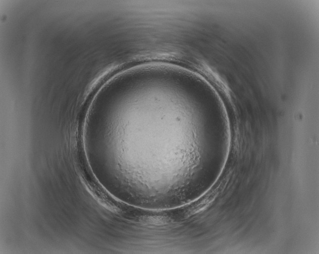 X0000085320107200703091521