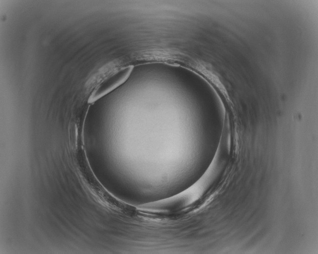X0000085320109200703091521
