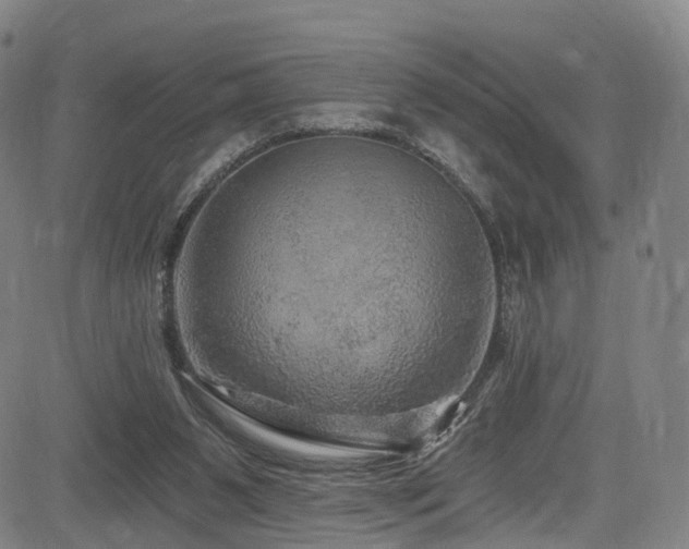 X0000085320111200703091521