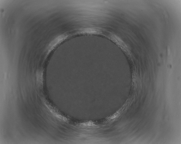 X0000085320112200703091521
