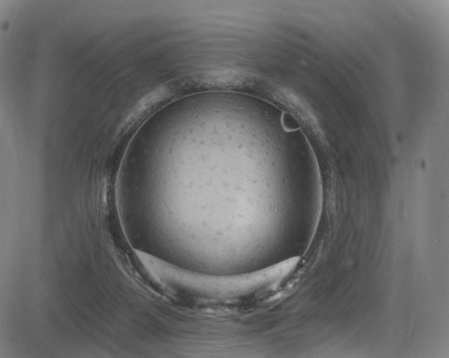 X0000085320115200703091521