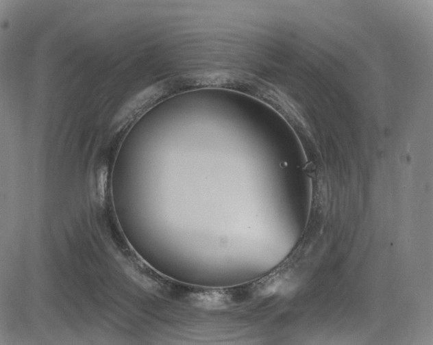 X0000085320118200703091521
