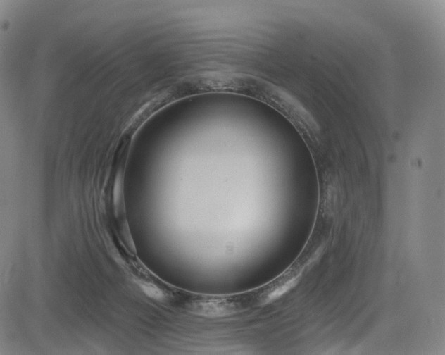 X0000085320121200703091521