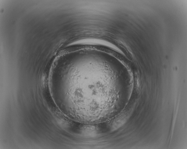 X0000085320123200703091521