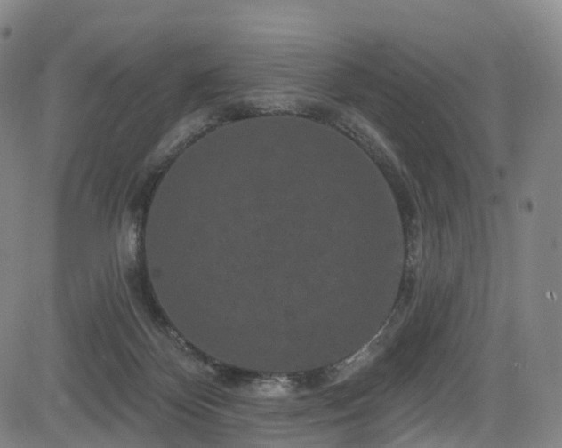 X0000085320124200703091521