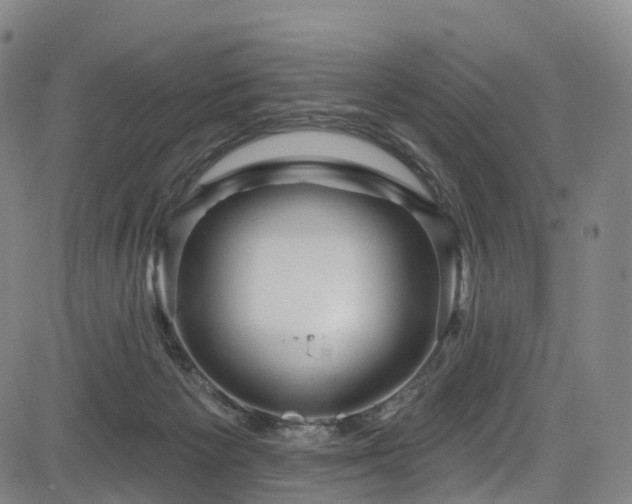 X0000085320125200703091521