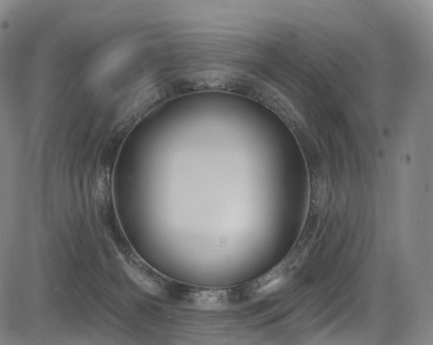 X0000085320126200703091521