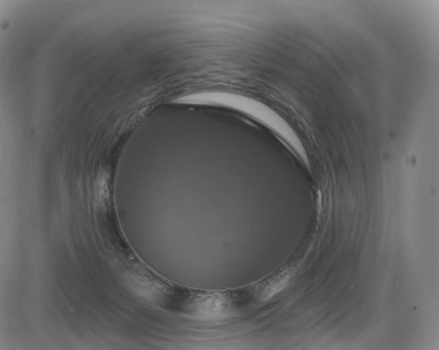 X0000085320127200703091521