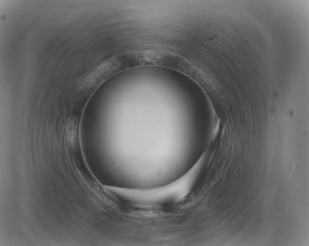 X0000085320129200703091521
