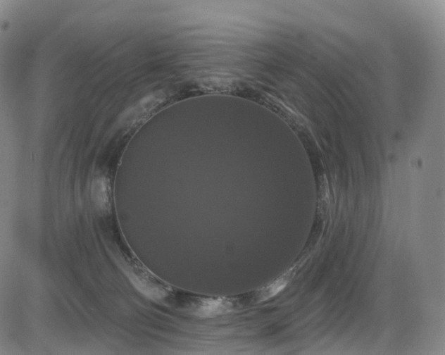X0000085320130200703091521