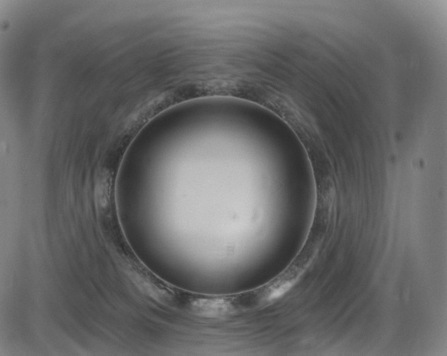 X0000085320133200703091521