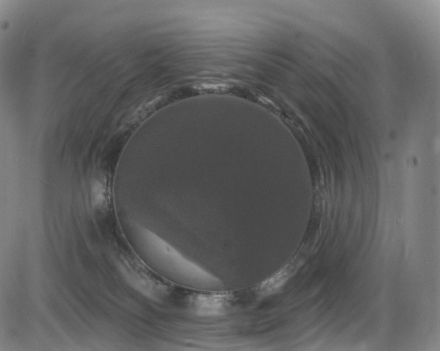 X0000085320134200703091521