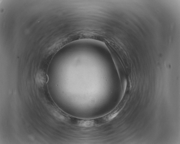 X0000085320135200703091521