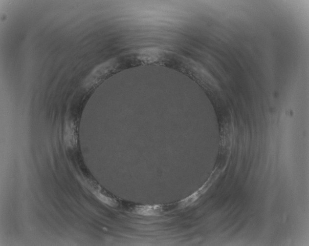 X0000085320136200703091521