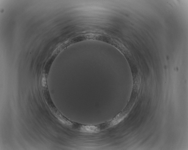 X0000085320137200703091521