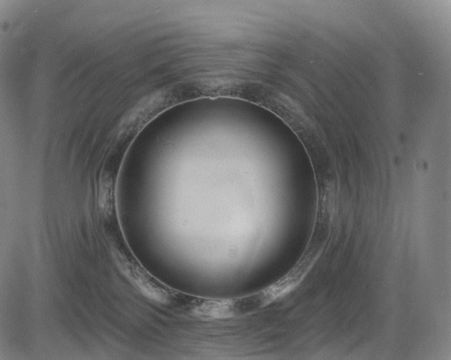 X0000085320138200703091521